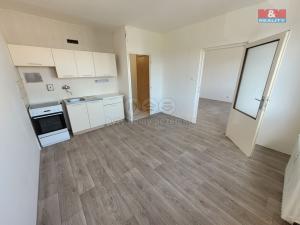 Pronájem bytu 1+1, Hodkovice nad Mohelkou, Podlesí, 36 m2