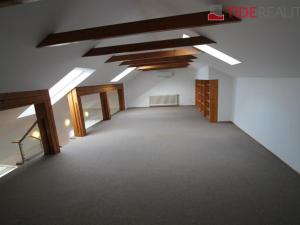 Pronájem bytu 6+kk a větší, Praha - Braník, Psohlavců, 290 m2