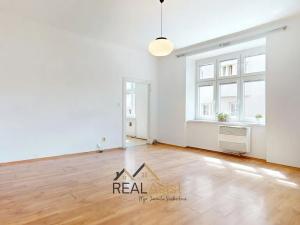 Prodej bytu 1+1, Brno, Kamenná, 45 m2