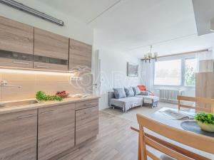 Prodej bytu 2+kk, Kladno - Kročehlavy, Švýcarská, 43 m2