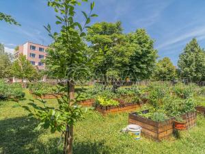 Prodej bytu 2+kk, Kladno - Kročehlavy, Švýcarská, 43 m2