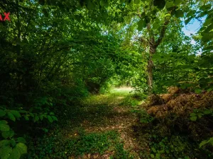 Prodej pozemku pro bydlení, Petrov - Chlomek, Zalomená, 1500 m2