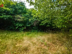 Prodej pozemku pro bydlení, Petrov - Chlomek, Zalomená, 1500 m2