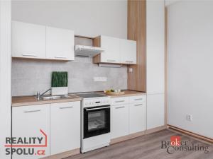 Pronájem bytu 2+kk, Mlékojedy, 64 m2