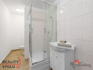Pronájem bytu 2+kk, Mlékojedy, 64 m2