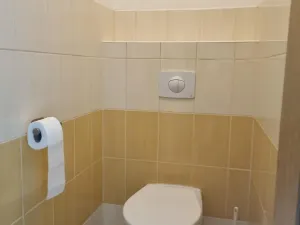 Pronájem bytu 1+1, Hradec Králové, Velké náměstí, 42 m2