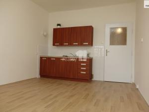 Pronájem bytu 1+kk, Praha - Žižkov, Biskupcova, 24 m2