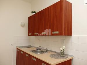 Pronájem bytu 1+kk, Praha - Žižkov, Biskupcova, 24 m2