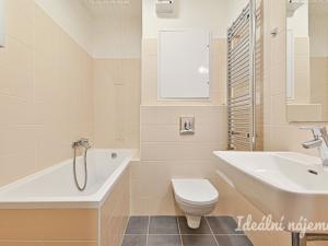 Pronájem bytu 1+kk, Brno, Hrázka, 38 m2
