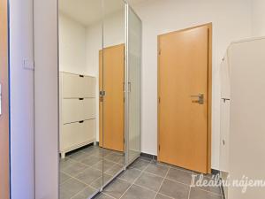 Pronájem bytu 1+kk, Brno, Hrázka, 38 m2