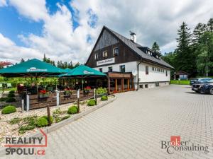 Prodej ubytování, Ostružná - Ramzová, 300 m2