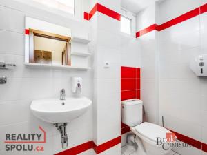 Prodej ubytování, Ostružná - Ramzová, 300 m2