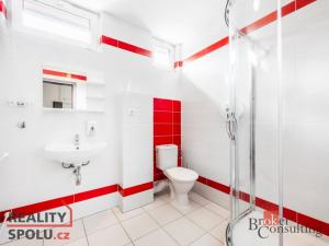 Prodej ubytování, Ostružná - Ramzová, 300 m2