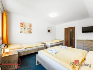 Prodej ubytování, Ostružná - Ramzová, 300 m2