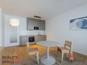 Pronájem bytu 1+kk, Praha - Holešovice, U průhonu, 32 m2