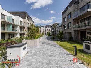 Pronájem bytu 1+kk, Praha - Holešovice, U průhonu, 32 m2
