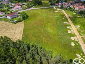 Prodej pozemku, Vítězná - Kocléřov, 13646 m2