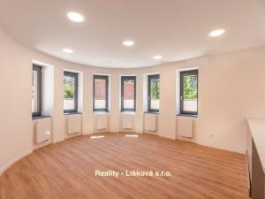 Pronájem bytu 4+1, Ústí nad Labem, Bělehradská, 178 m2