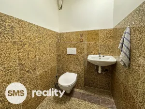 Pronájem kanceláře, Ostrava - Vítkovice, Rudná, 290 m2