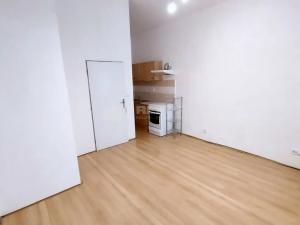Pronájem bytu 1+kk, Praha - Žižkov, Vlkova, 28 m2
