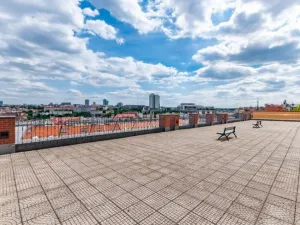 Prodej bytu 2+kk, Praha - Vinohrady, U Zvonařky, 116 m2