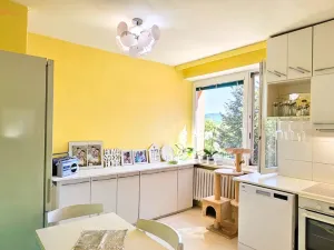 Prodej bytu 2+1, Brno, Kunštátská, 58 m2