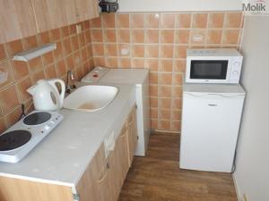 Pronájem bytu 1+kk, Chomutov, Březenecká, 28 m2