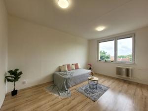 Pronájem bytu 1+1, Prostějov, Dolní, 35 m2