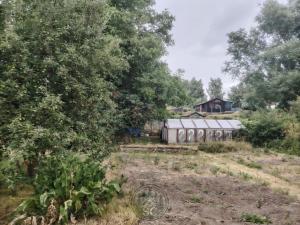 Prodej chaty, Sokolov, Dvořákova, 45 m2