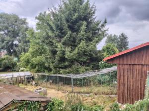 Prodej chaty, Sokolov, Dvořákova, 45 m2