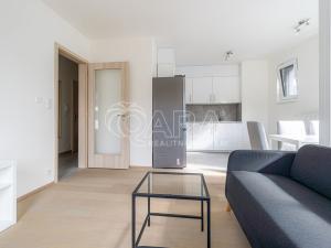 Pronájem bytu 2+kk, Praha - Žižkov, Dagmar Burešové, 53 m2