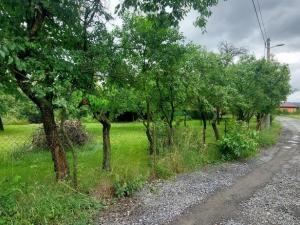 Prodej pozemku pro bydlení, Lešná - Lhotka nad Bečvou, 625 m2