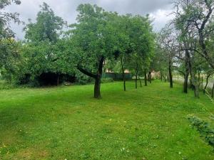 Prodej pozemku pro bydlení, Lešná - Lhotka nad Bečvou, 625 m2