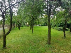 Prodej pozemku pro bydlení, Lešná - Lhotka nad Bečvou, 625 m2