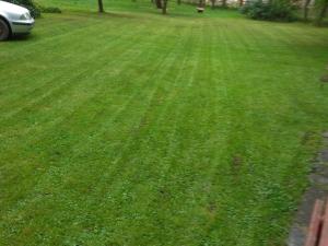 Prodej pozemku pro bydlení, Lešná - Lhotka nad Bečvou, 625 m2