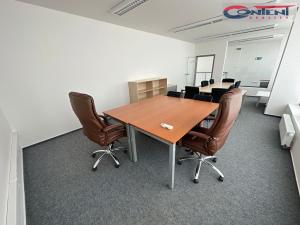 Prodej obchodního prostoru, Strančice - Všechromy, 1390 m2