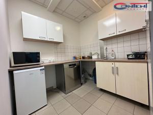 Prodej obchodního prostoru, Strančice - Všechromy, 1390 m2
