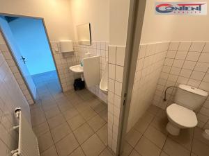 Prodej obchodního prostoru, Strančice - Všechromy, 1390 m2