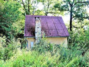 Prodej chaty, Kamenný Újezd - Rančice, 50 m2