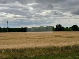 Prodej bytu 3+kk, Mladá Boleslav - Michalovice, 101 m2