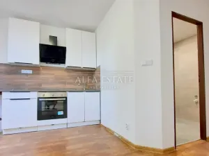 Pronájem bytu 2+1, Karlovy Vary - Stará Role, Fibichova, 63 m2