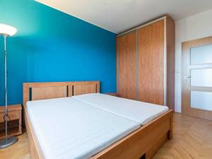 Pronájem bytu 2+1, Praha - Žižkov, Pod lipami, 56 m2
