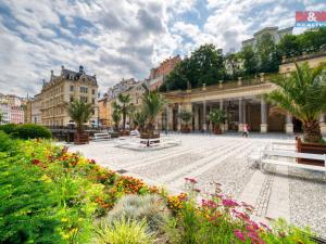 Prodej bytu 5+1, Karlovy Vary, Zámecký vrch, 365 m2
