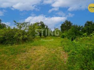 Prodej vícegeneračního domu, Mohelnice - Květín, 393 m2