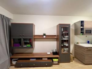 Pronájem bytu 1+kk, Praha - Žižkov, Olšanská, 37 m2