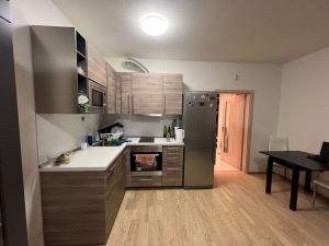 Pronájem bytu 1+kk, Praha - Žižkov, Olšanská, 37 m2