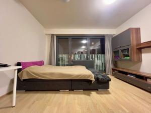 Pronájem bytu 1+kk, Praha - Žižkov, Olšanská, 37 m2