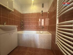 Pronájem bytu 2+1, Ústí nad Labem - Severní Terasa, Jana Zajíce, 53 m2