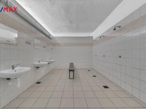 Prodej ubytování, Vysoká Srbská, 900 m2