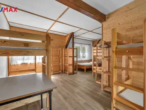 Prodej ubytování, Vysoká Srbská, 900 m2